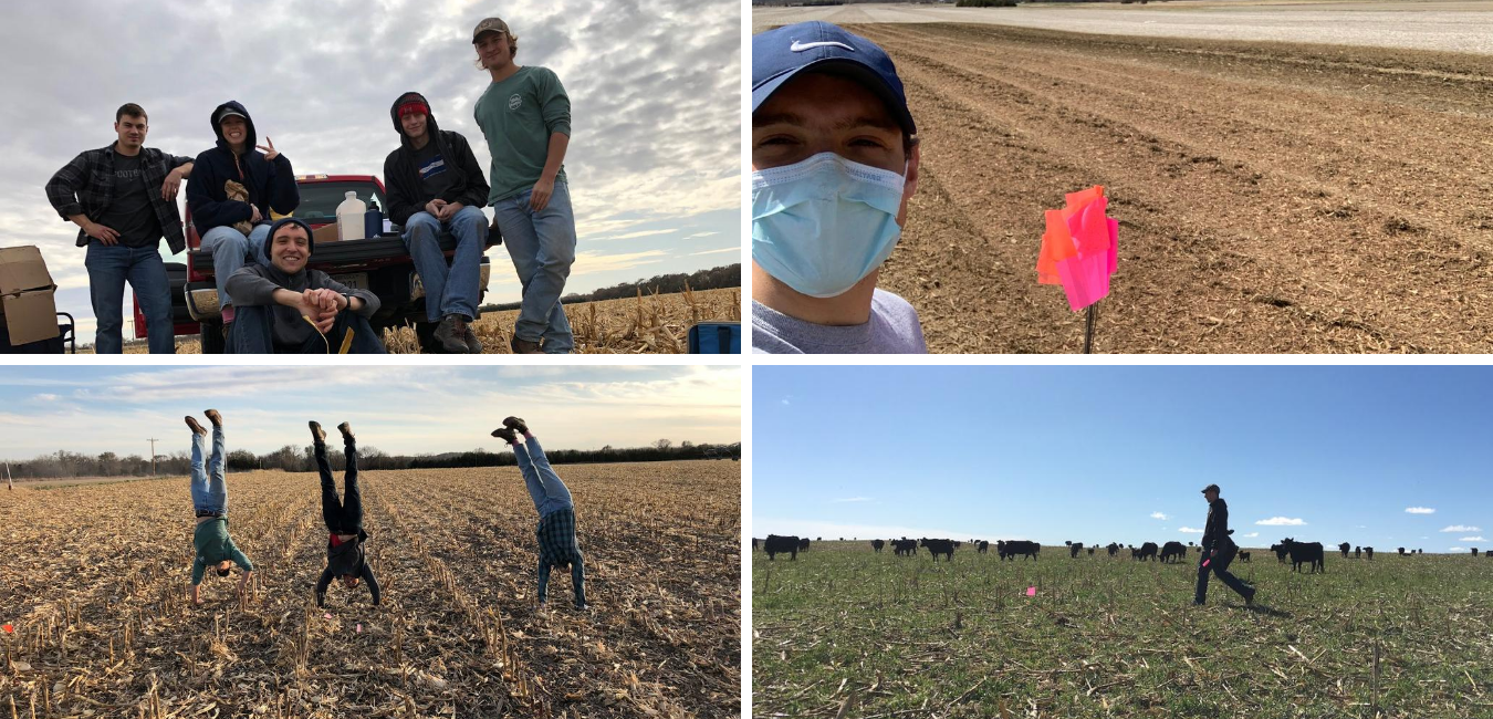 Schmidt Team members at work in the field