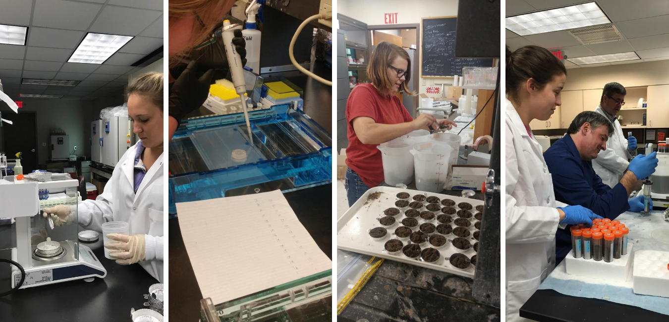 Schmidt Team members at work in the lab