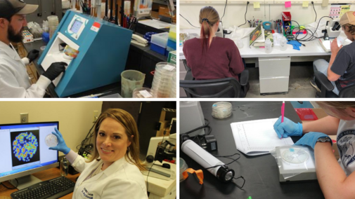 Schmidt Team members at work in the lab