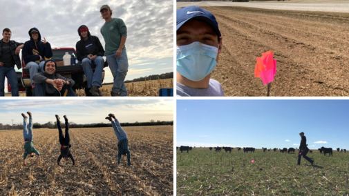 Schmidt Team members at work in the field