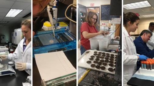 Schmidt Team members at work in the lab